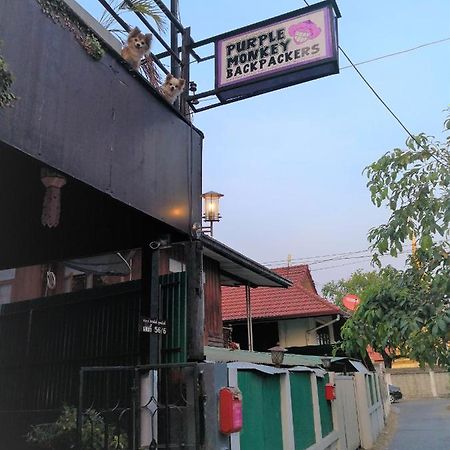 Purple Monkey Backpackers Chiang Maiホステル エクステリア 写真