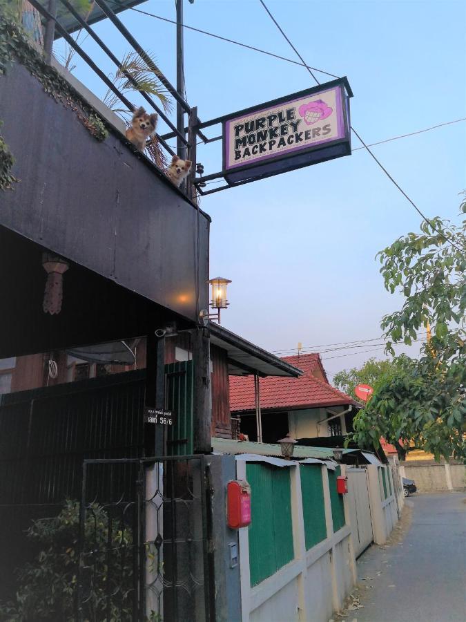 Purple Monkey Backpackers Chiang Maiホステル エクステリア 写真